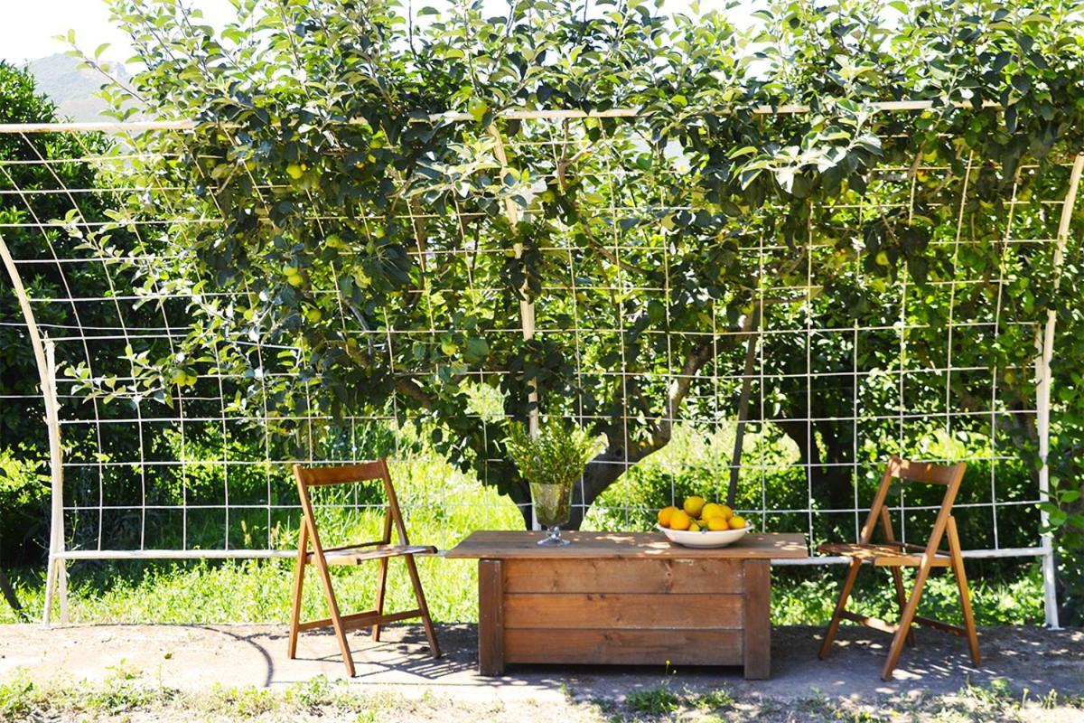 Luna&Limoni Country Muravera Zewnętrze zdjęcie