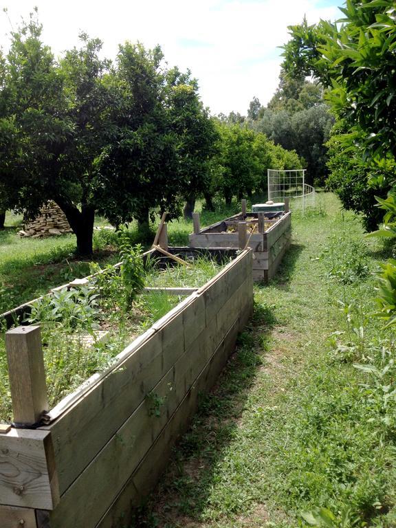 Luna&Limoni Country Muravera Zewnętrze zdjęcie